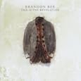 Brandon Bee album cover